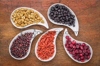 dried superfruit collection 