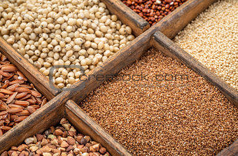 teff and other gluten free grains