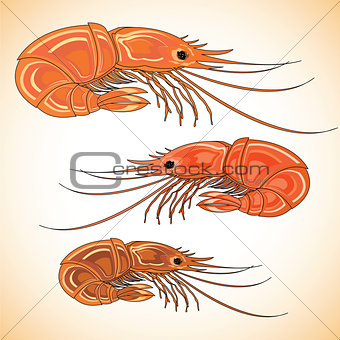 Three prepared shrimps on colorful background.