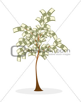 Lush money tree