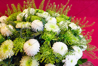 White chrysanthemum flowers bouquet