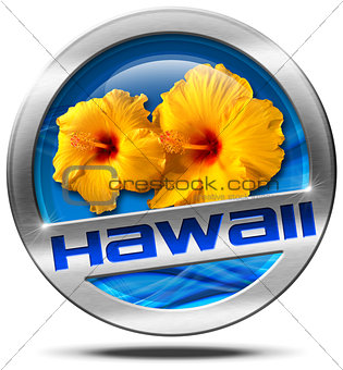 Hawaii - Metal Icon with Hibiscus