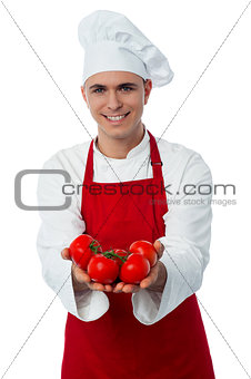Male chef hands showing tomatoes