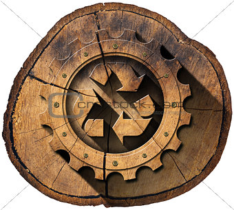 Recycle Symbol on Tree Trunk