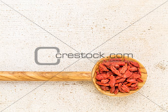 spoon of dried goji berries