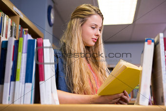 Pretty student studying in the library