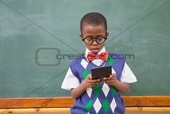 Cute pupil using calculator