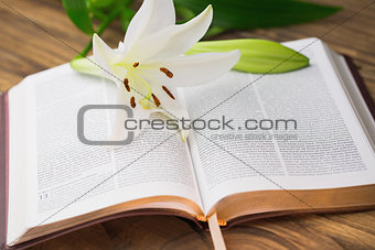 Lily flower resting on open bible