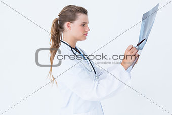 Focus doctor looking at X-Rays