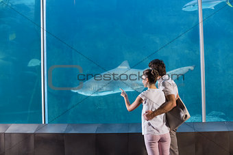 Happy couple looking at shark