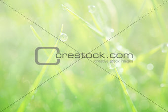 Composite image of green abstract light spot design