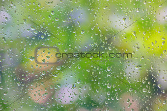 rain drop on window glass