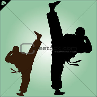 Karate. Taekwon-do. Kung-fu. High kick. MARTIAL ARTS.