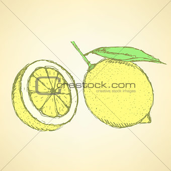 Sketch juicy lemon in vintage style