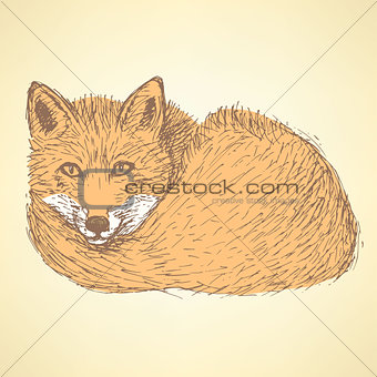 Sketch cute fox in vintage style