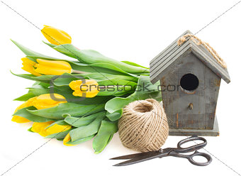 Yellow tulips  with birdcage