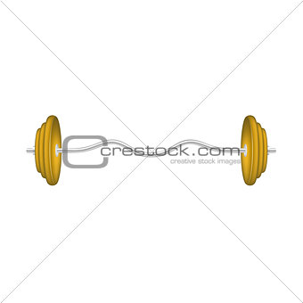 Barbell in silver and orange design