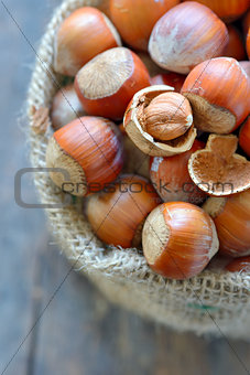 Filbert nut in burlap sack