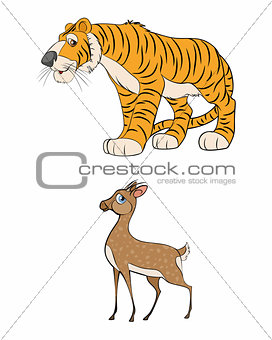 Gazelle and tiger