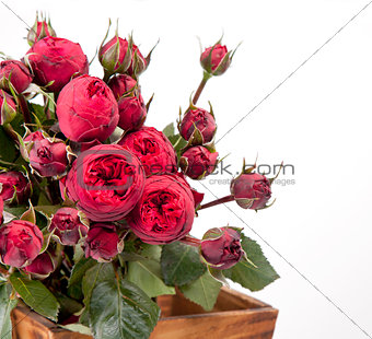 Beautiful bouquet of roses Peony
