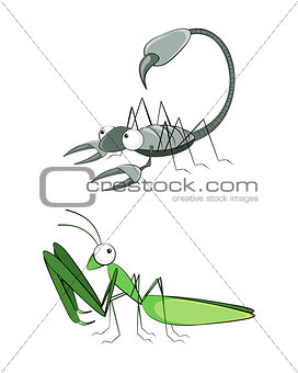 Insect scorpion and mantis