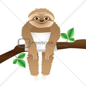 sloth with a pillow sitting on a branch