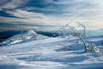 winter Carpathians