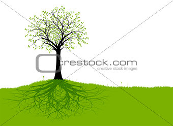 Vector Tree and Roots