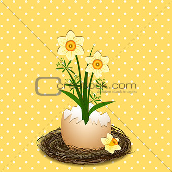Easter Illustration Yellow Daffodil Flower on Polka Dot