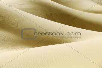 DESERT Landscape