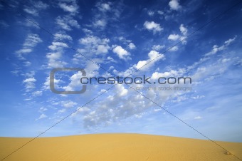 DESERT Landscape
