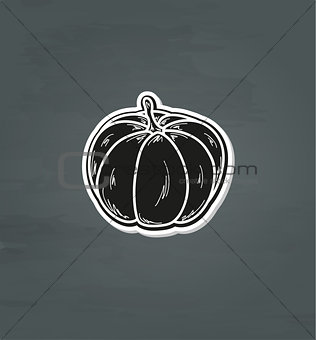 pumpkin illustration, vector