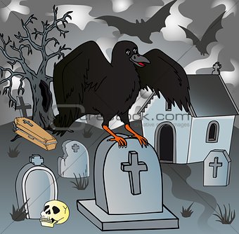 Crow in the cemetery