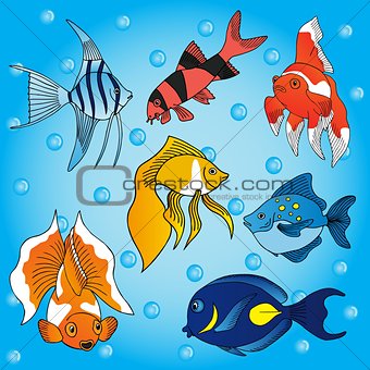 Sea fish collection