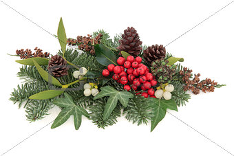 Traditional Winter Flora