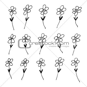 Hand drawn pen and ink style illustration of flowers