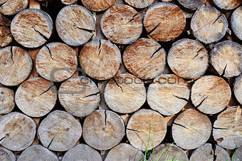Wall made of stacked wood, Background
