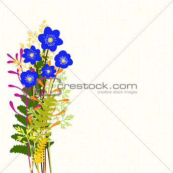 Springtime Blue Hepatica Nobilis with Wild Grass Background