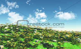 3D landscape with buttercups
