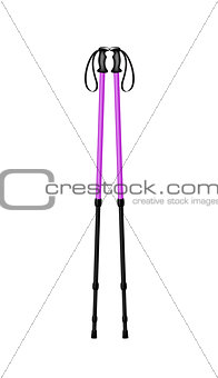 Hiking poles in purple and black design