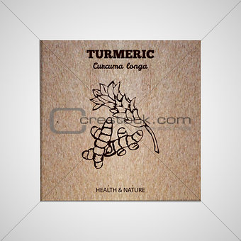 Herbs and Spices Collection - Turmeric