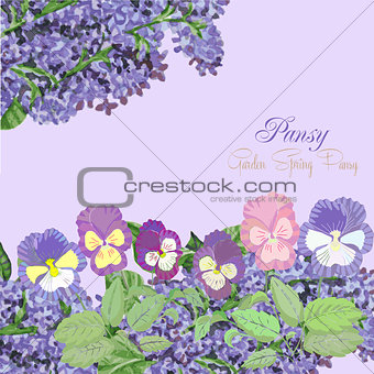 Background with pansies and lilac