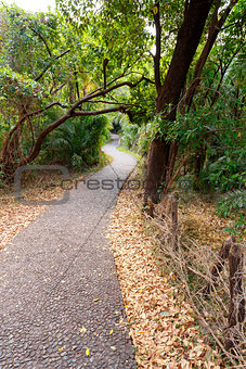Pathway in a Park Victoria Falls, Zimbabwe in Spring