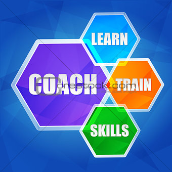 coach, learn, train, skills in hexagons, flat design