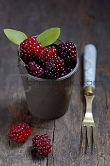 Fresh berries 