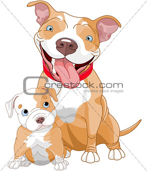 Pit-bull mother and cub