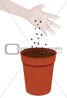 Sowing Seeds