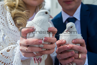 pigeons in hands