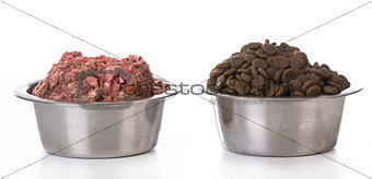 bowl of raw and kibble
