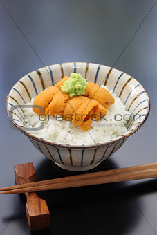 sea urchin roe on rice, japanese food